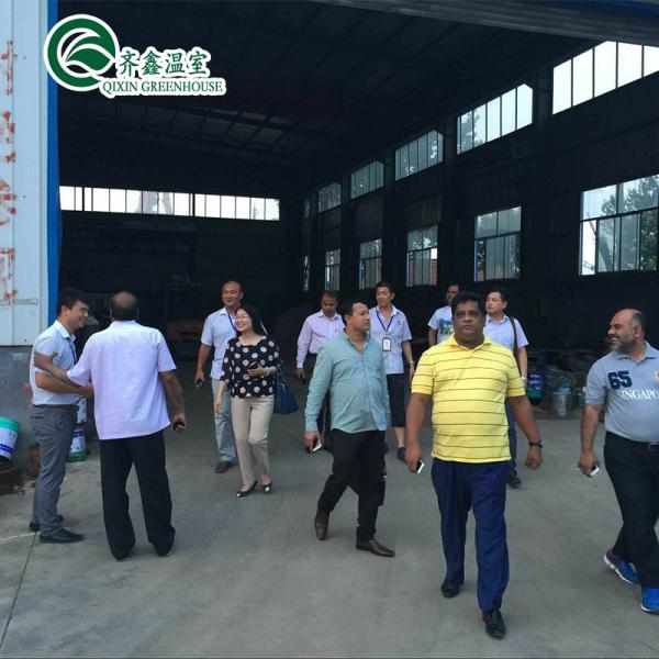 Customized Multi-span Vegetable Grow Tunnel Greenhouse for Vegetable Cultivation