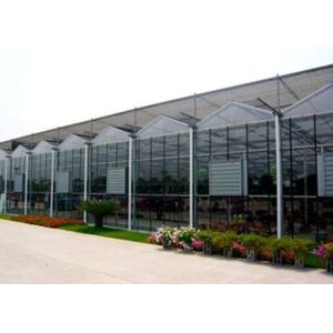 China Sturdy Double Pane Greenhouse With Top Ventilation Surrounding Ventilation Systems wholesale