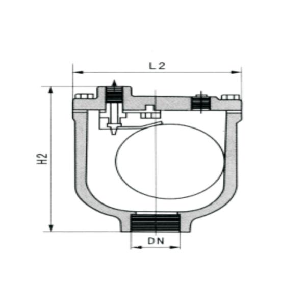 WCB Micro Exhaust Release Flanged Air Valve Anti Oxidation Female Thread