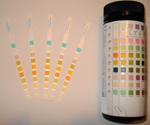 Quality 10 Parameter Urine Ph Test Strips Colorimetric Analysis With Color Charts for sale