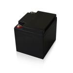 Bluetooth Connection Optional Lithium Iron Phosphate Battery 12V 30Ah LiFePO4