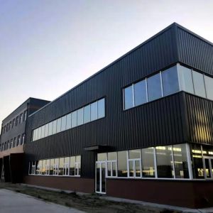 China Painted / Galvanized Prefabricated Multi Storey Building Steel Structural Buildings wholesale