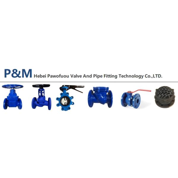 body ASTM A216 WCB cast steel globe valve FROM HEBEI