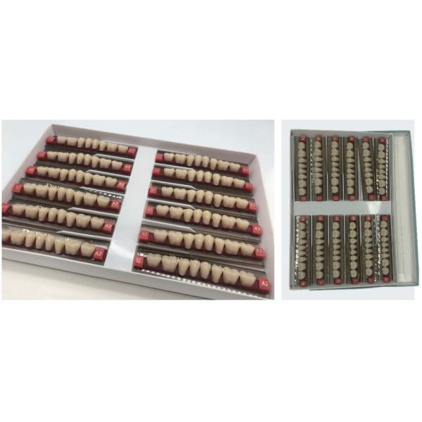 Advanced Type Dental Artificial Denture Acrylic Resin Teeth Set