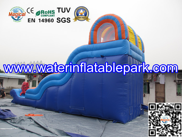 Inflatable Water Slide For Amusement Park / Inflatable Pool Slide