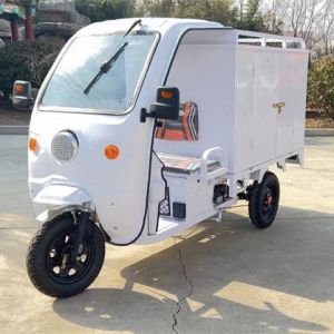 China Passenger Electric Delivery Tricycle Freight Lightweight Electric Delivery Trike Fast on sale