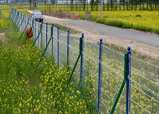 3D Galvanized Welded Wire Mesh Fence 50x100mm 3.0mm Powder Coated