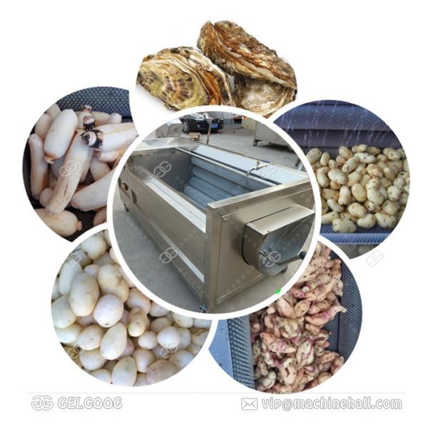 Potato Cleaning Peeling Machine