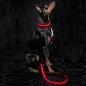 China Neoprene Padding Reflective Light Up Dog Lead Safe For Night Walking wholesale