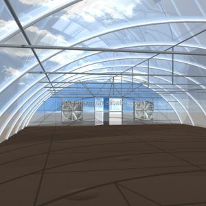 Customize Agricultural Greenhouse Poly Film Greenhouse For vegetable growing