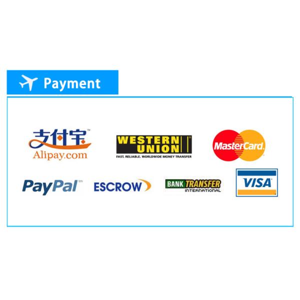 Door To Door DDP Sea Freight To USA , 28 To 35 Days International Shipping Forwarder