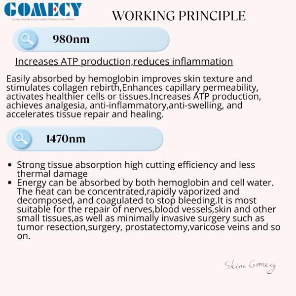 Gomecy Newest Medical 980nm 1470nm 635nm Diode Laser System for Endolift Wound Healing and Anti-inflammatory Treatments