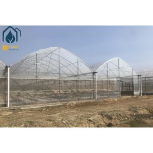 Film Multi-Span Nursery Greenhouse Prefabricated Hydroponic System Greenhouse