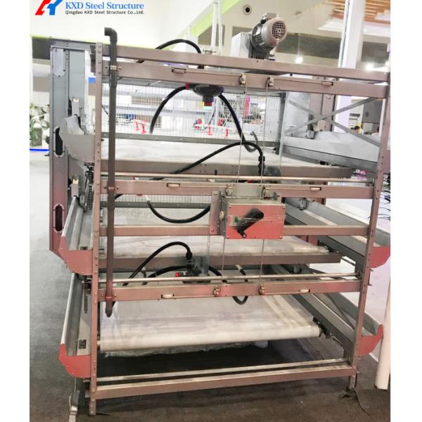Modern Broiler Chicken Farming Equipment Automatic H Type Poultry Broiler Cage