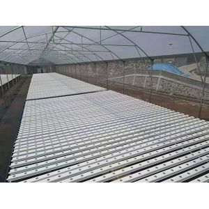 Climate Controlled Agricultural Greenhouse Hot Dipped Galvanized Steel