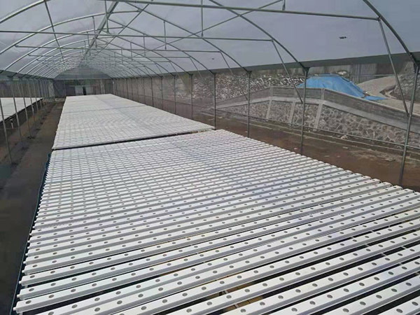 Climate Controlled Agricultural Greenhouse Hot Dipped Galvanized Steel Greenhouse