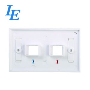ABS 2 Port Faceplate