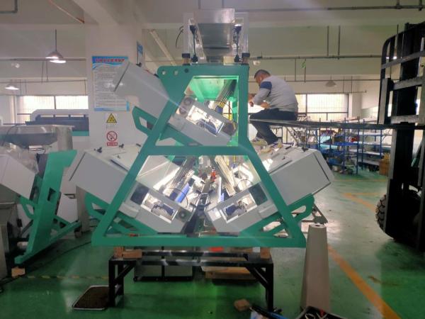 Quality Automatic Computing Tea Color Sorter Machine 5 Chutes for sale