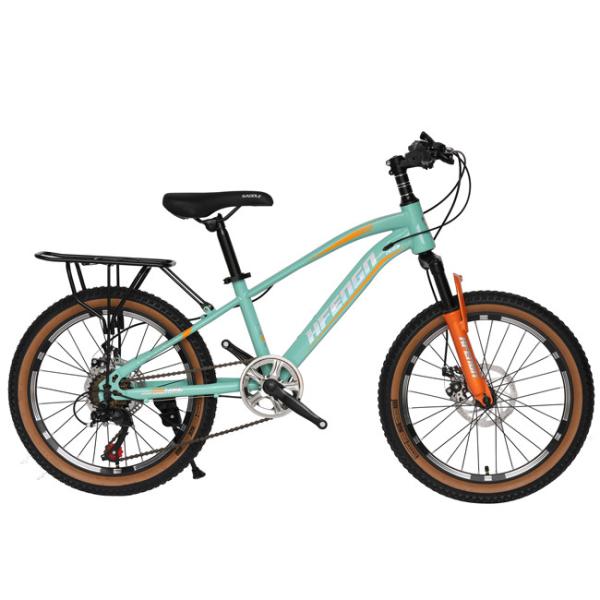 Quality 20inch Lightweight Mountain Bike Junior MTB Bike With Carrier 7 Gear for sale