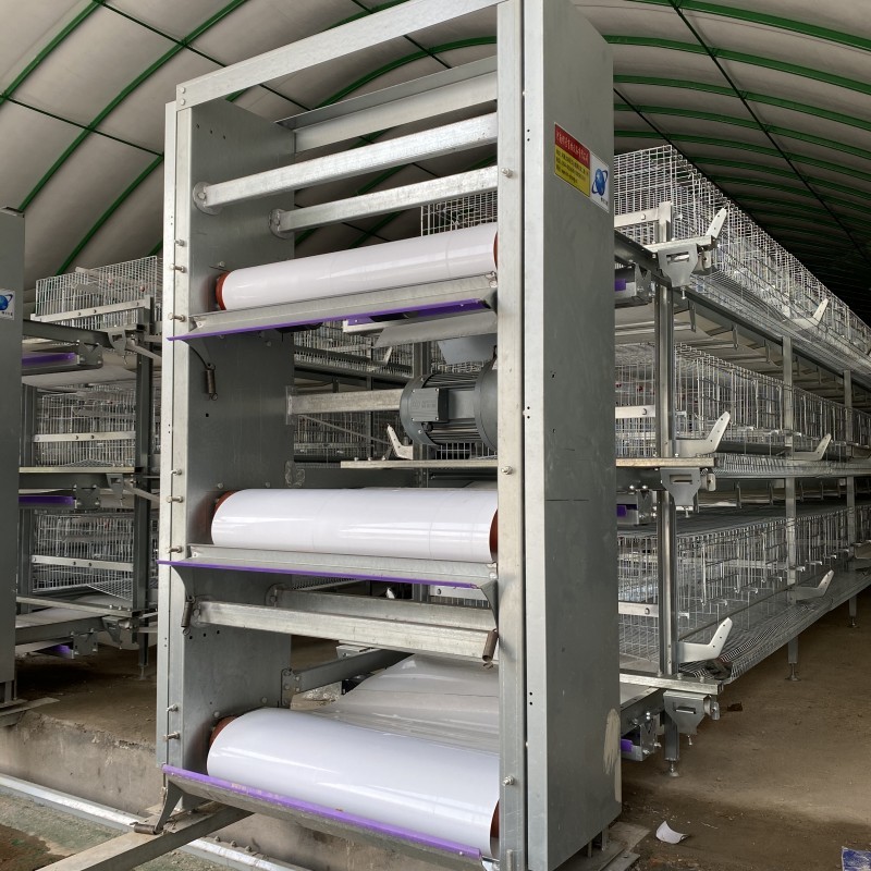 Poultry Farming Chicken Layer Cages Fully Automatic Battery System H Type Egg