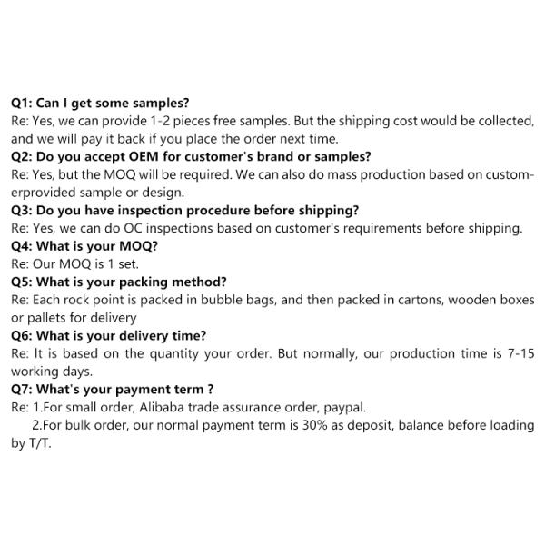 NO Inflatable Gecko King Outdoor/Indoor Rock Climbing Holds for School Climbing Walls