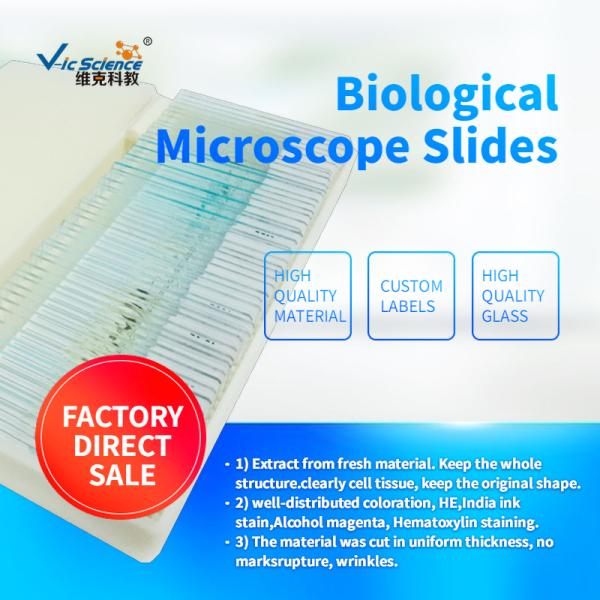 Medical Science Biological Ready Made Microscope Slides Set 50pcs