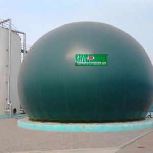 China Green Membrane Gas Holder PES PVC Floating Gas Holder Biogas Plant wholesale