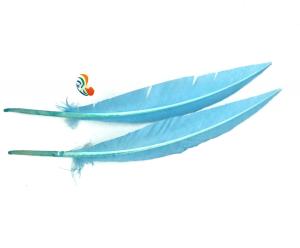 China 25-30cm Stripped Colored Turkey Feathers Quill Dyed For Decorative wholesale