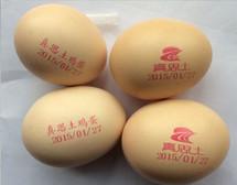 China 60 HZ Egg Jet Printer / Date Qr Code Egg Spraying Machine With Fast Printing Speed wholesale