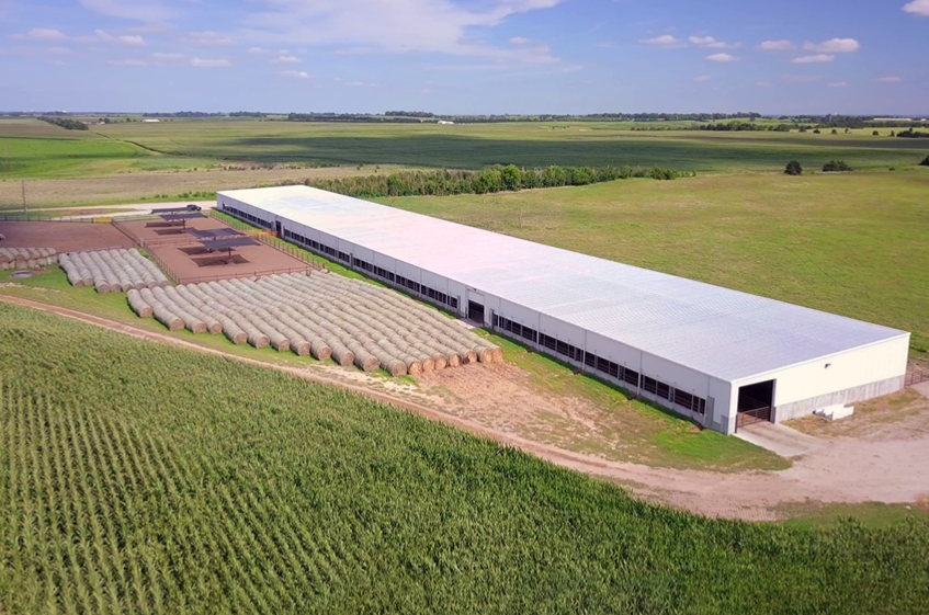 Sliding Door Prefabricated Goat Farm Shed with Design and Single Steel Sheet Roofing