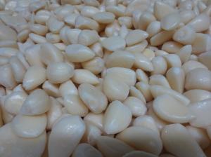 China IQF frozen garlic cloves with BRC certificate wholesale