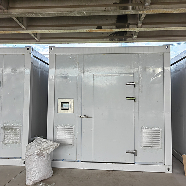 Single Span Greenhouse 20ft Agricultural Greenhouse For Mushroom Cultivation