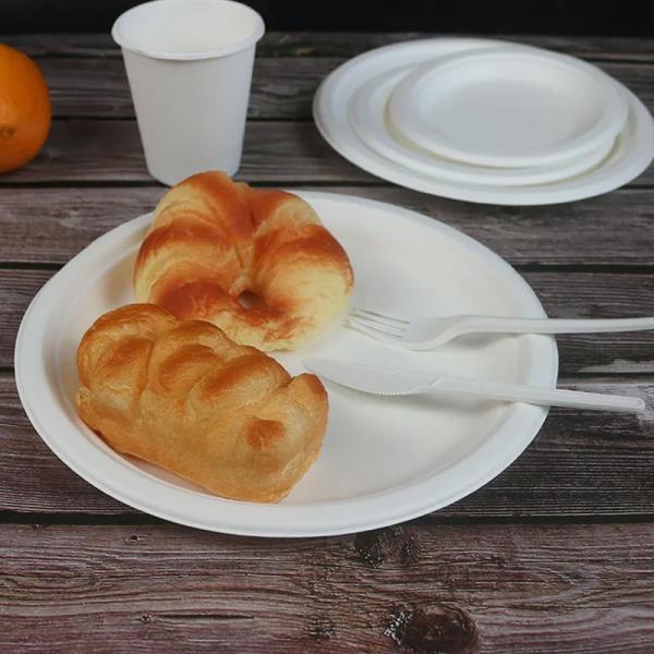 Plant Starch PLA Compostable Disposable Tray Plate Biodegradable