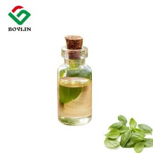 China CAS 8015-73-4 Ocimum Basilicum Essential Oil For Hair And Skin on sale