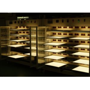 Surplus (China) Lighting Industrial Co., Ltd