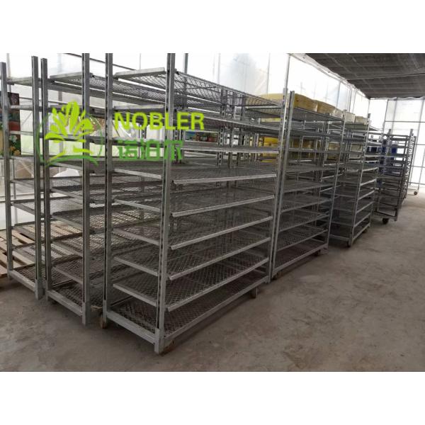 1900mm Transporting Hot Dip Galvanized Dutch Flower Cart