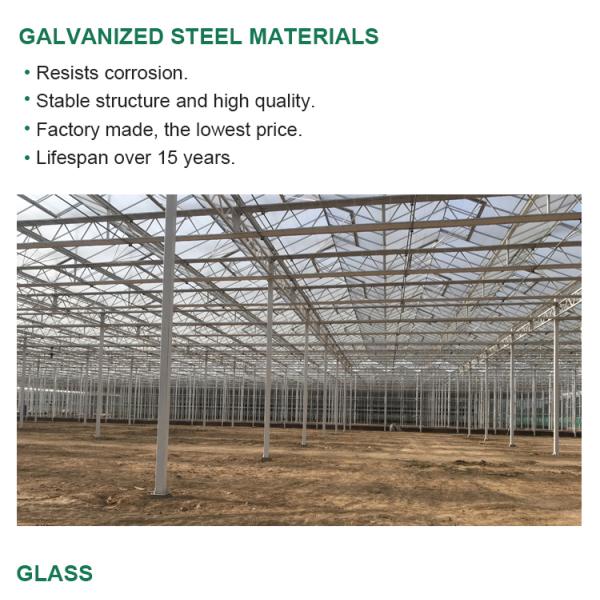 8m Transparent Glass Solar Greenhouse For Efficiently Produce Tomatoes