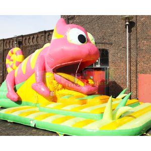 China Customized Quadruple Stitching Inflatable Bounce Slide For Festival Activity on sale