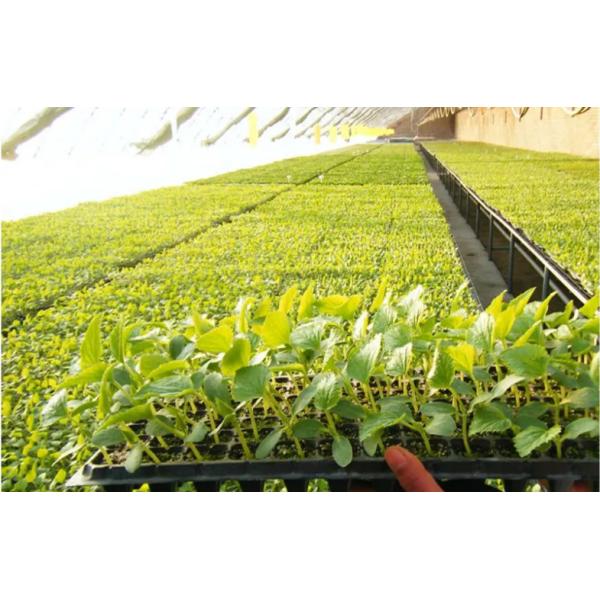 Seed Grow Plastic Germination Trays Garden Vegetable Hydroponic Trays