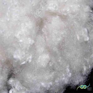 China Non-siliconized Conjugated Hollow Polyester Fibre Coiled Coil 15D White wholesale