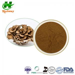 China Antibacterial Mushroom Extract Powder Maitake Mushroom Extract Grifola Frondosus P.E on sale