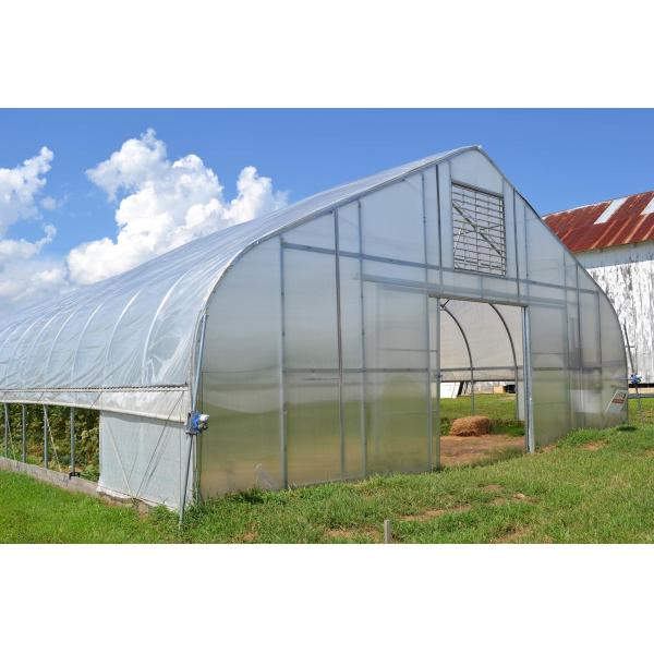 Galvanized Steel Frame PE Film Greenhouse 3.2m High Tunnel Greenhouse