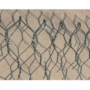 PET 100x120mm galvanized hexagonal chicken wire mesh ecological governance