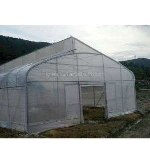 275gsm Zinc Coated Steel Pipe Greenhouse With Agricultural Plastic Film