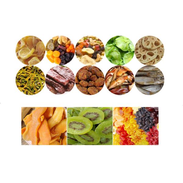 360kg/Batch 144 Trays 6 carts Fruit And Vegetable Dryer Machine