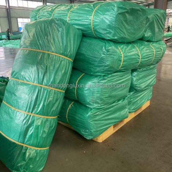 650gsm PVC Tarpaulin Coating The Ultimate Protection for Inflatable Boat