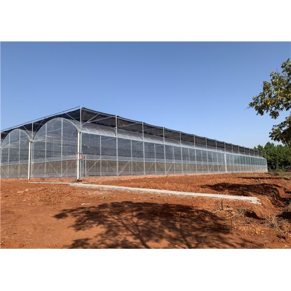 Galvanized Steel Frame Plastic Film Greenhouse Good Insulation Performance
