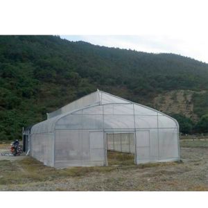 275gsm Zinc Coated Steel Pipe Greenhouse With Agricultural Plastic Film