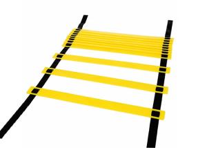 China Agility Training Ladder Fitness Exercise Equipment With Black Carrying Case wholesale