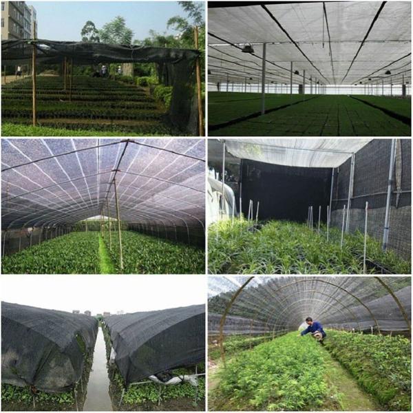 380gsm HDPE Green Net Anti Ultraviolet Enclosure Shade Nets For Agriculture